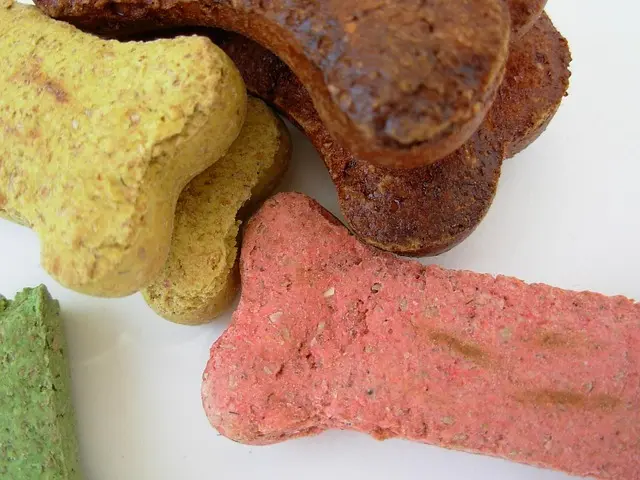 Ultimate Pet Supplies Checklist for Enthusiastic Owners